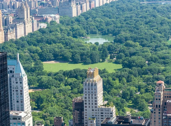 Вид с воздуха Центрального парка — стоковое фото