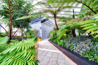 Londra - 26 Eylül 2016: Sky Garden, kapalı bir park ve 