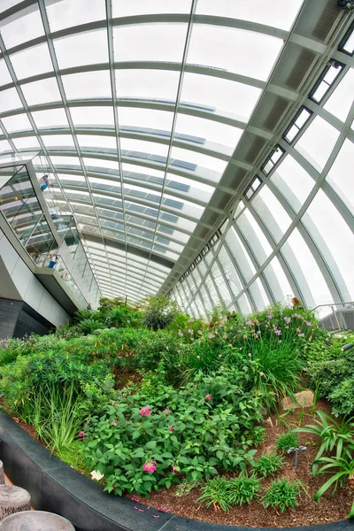 LONDRES - 26 DE SEPTIEMBRE de 2016: El Sky Garden, un parque cubierto y — Foto de Stock