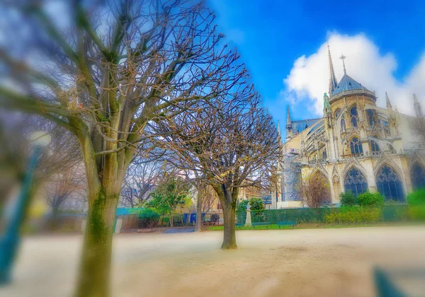 Cattedrale di Notre Dame a Parigi in una bella giornata invernale soleggiata — Foto Stock