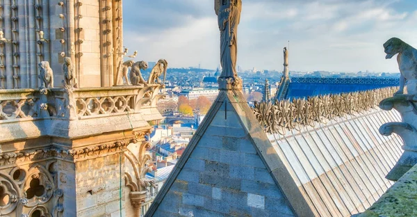 Notre Dame Cathedral in Paris on a beautiful sunny winter day — Stock Photo, Image