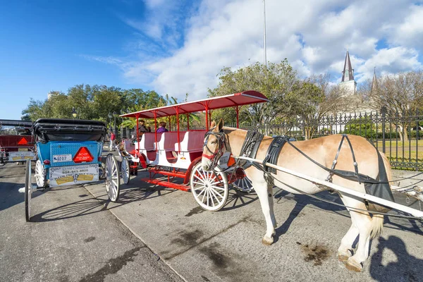 NEW ORLEANS - JANUARY 2016: Horse carriage in Jackson Square. Th — Stock Photo, Image