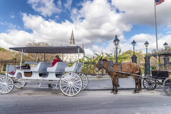 NEW ORLEANS - JANUARY 2016: Horse carriage in Jackson Square. Th — Stock Photo, Image