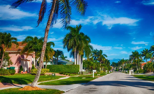 Schöne Straße von Floirda mit Palmen und Häusern — Stockfoto