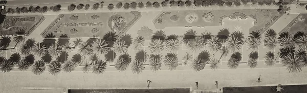 Blick auf die Stadtpromenade mit Palmen nach unten — Stockfoto