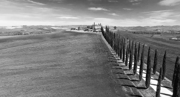 Selvi sprin sırasında güzel bir Tuscany kırsalında satırı — Stok fotoğraf