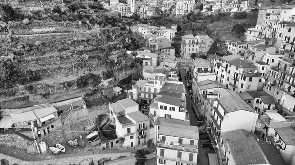 Vista aérea de Manarola, Cinco Tierras, Italia —  Fotos de Stock