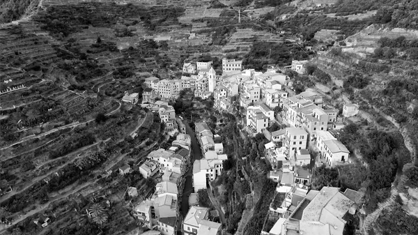 Aerial view of Manarola, Five Lands, Italy — Stock Photo, Image
