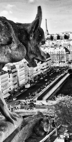 Chimera (gargoyle) della Cattedrale di Notre Dame de Paris overl — Foto Stock