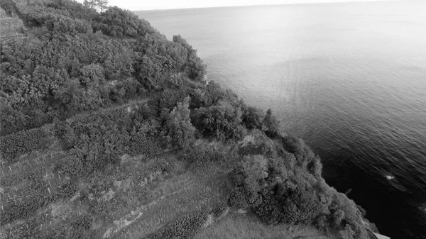 A légi felvétel a Manarola, öt föld, Olaszország — Stock Fotó