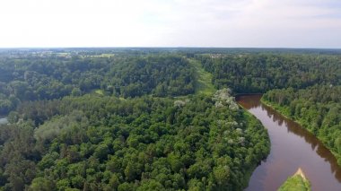 Güzel orman Nehri ile havadan görünümü