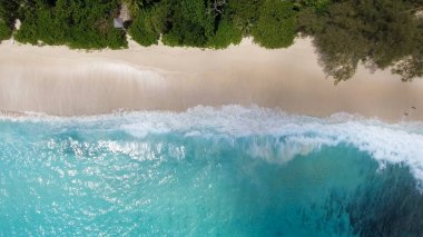 Tropikal Beach havadan aşağıya doğru görünümü