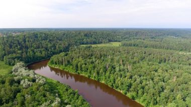 Gauja Milli Parkı havadan görünümü