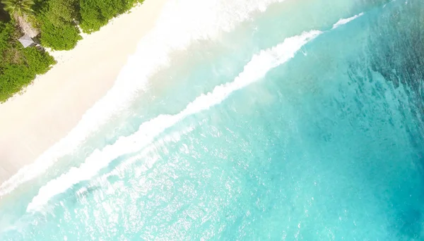 Vista aerea verso il basso della spiaggia tropicale — Foto Stock