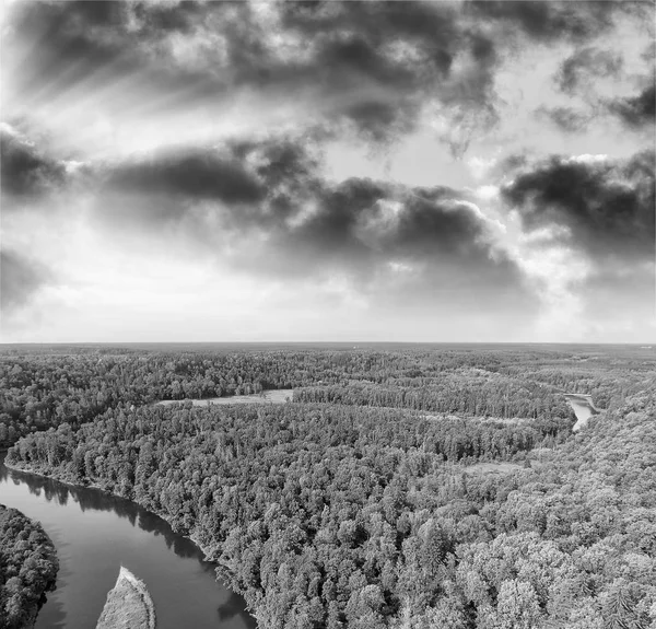 Aerial view of beautiful river across the forest — Stock Photo, Image