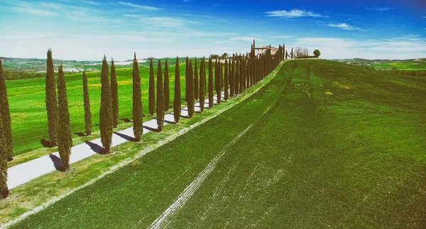 Luchtfoto van mooie cypress weg in Toscane op voorjaar — Stockfoto