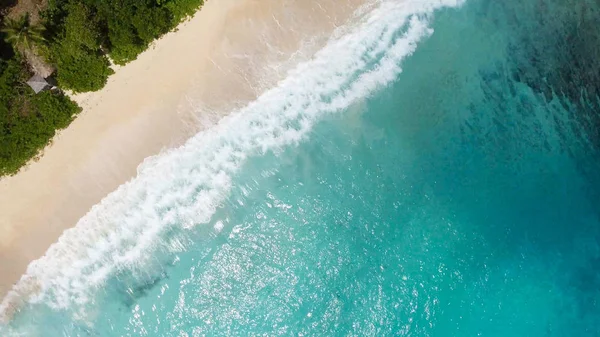 Vista aérea hacia abajo de la playa tropical —  Fotos de Stock