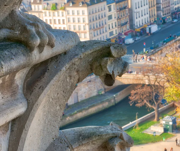 Letecký pohled na Paříž město z vrcholu katedrála Notre Dame w — Stock fotografie