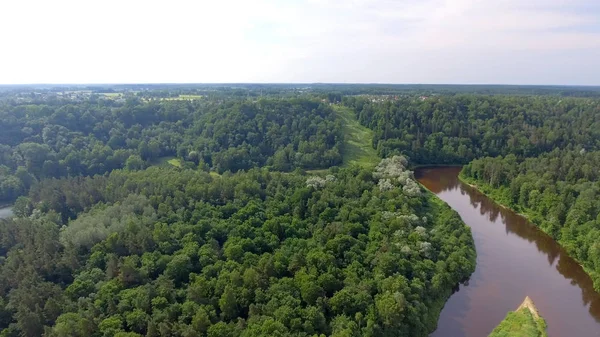 Flygfoto över vacker skog med floden — Stockfoto