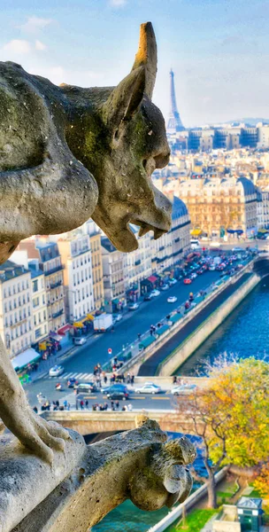 Chimera (Gargoyle) of the Cathedral of Notre Dame de Paris overl — Stock Photo, Image