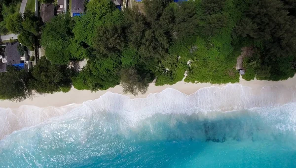 Вид з повітря на пляж і дерева — стокове фото