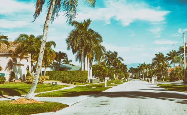Beautiful street of Floirda with palms and homes — Stock Photo, Image