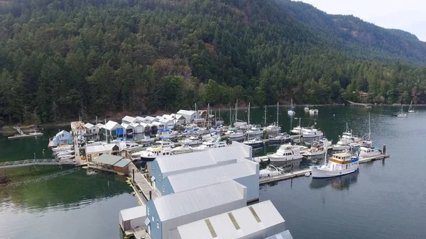 Vue aérienne de la baie de Gênes sur l'île de Vancouver — Photo