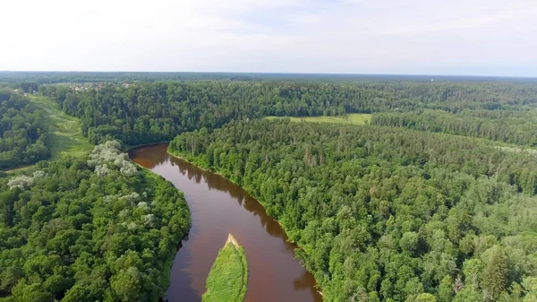 Вид с воздуха на красивый лес с рекой — стоковое фото