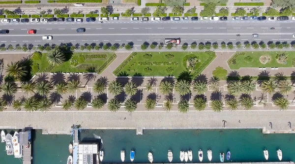 Downward view of city promenade with palms — Stock Photo, Image