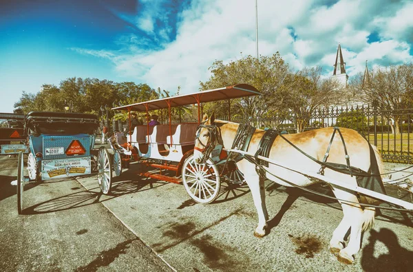 NEW ORLEANS - JANUARY 2016: Horse carriage in Jackson Square. Th — Stock Photo, Image