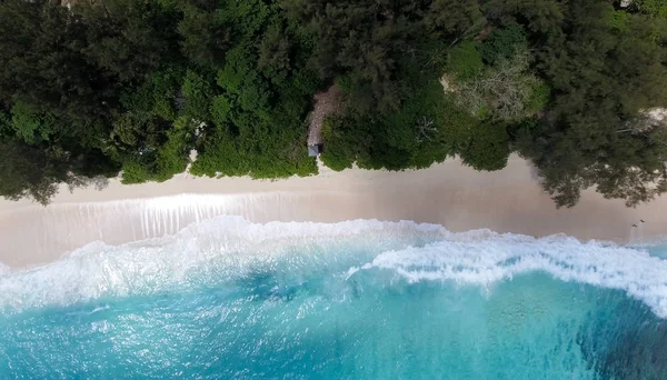 Tropikal Beach havadan aşağıya doğru görünümü — Stok fotoğraf