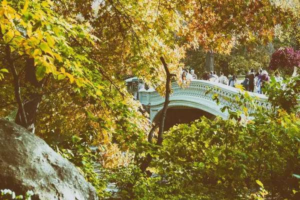 New York - október 2015-ig: Turisták a Central Parkban. A város attr — Stock Fotó