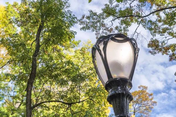 Lamp post against trees and sky — Stock Photo, Image