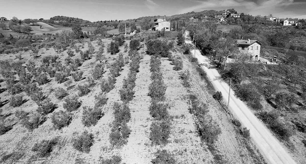 Heuvels van Tuscany luchtfoto — Stockfoto
