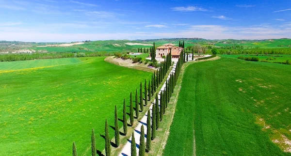 Luchtfoto van mooie cypress weg in Toscane op voorjaar — Stockfoto