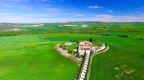 Fila de ciprestes em um belo campo da Toscana durante o sprin — Fotografia de Stock