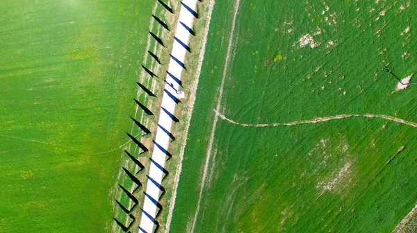 Vista aérea de la hermosa carretera de ciprés en Toscana en primavera — Foto de Stock