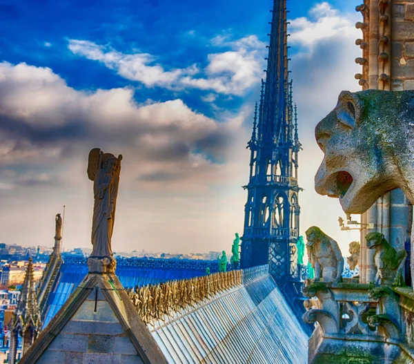 Veduta aerea della città di Parigi dalla cima della Cattedrale di Notre Dame — Foto Stock