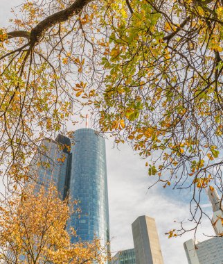 Park Sonbahar sezonu, Almanya Frankfurt şehir manzarası