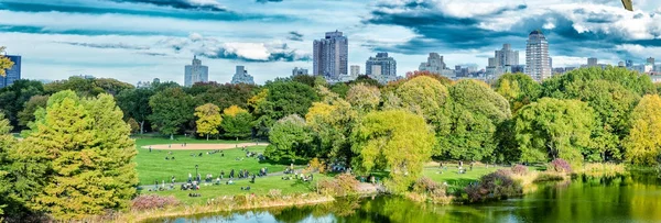 Flugzeuge fliegen über den Central Park in New York. Tourismuskonzept — Stockfoto