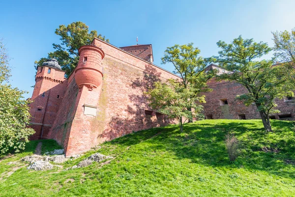 Krakow, Polonya - Wawel Kalesi güzel güneşli bir günde