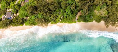 Overhead panoramic view of beautiful tropical beach with trees clipart