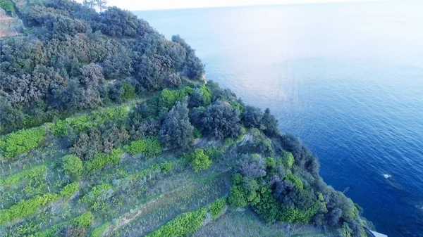 Hava görünümünü Manarola, beş topraklar, İtalya — Stok fotoğraf