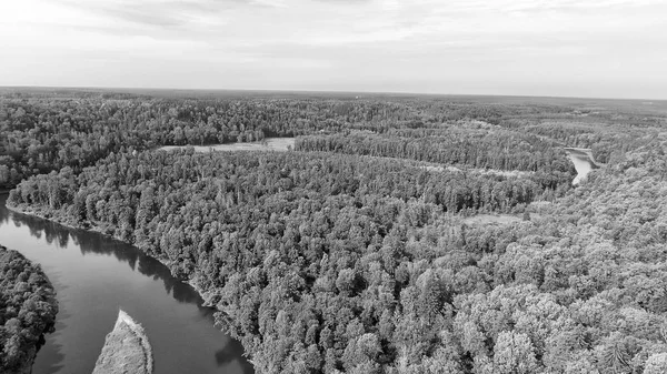 Вид с воздуха на красивую реку через лес — стоковое фото