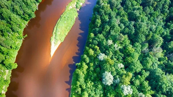 Aerial view of beautiful river across the forest — Stock Photo, Image