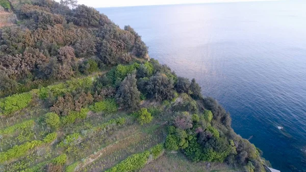 Hava görünümünü Manarola, beş topraklar, İtalya — Stok fotoğraf