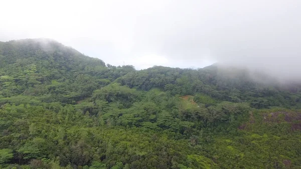 Sis tarafından çevrili dağ havadan görünümü — Stok fotoğraf