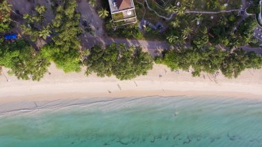 Ağaçlar çevreleyen ile güzel Beach ek yükü havadan görünümü
