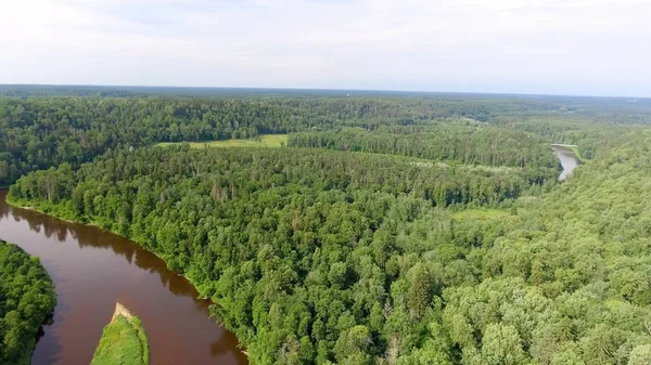 Vista aérea del hermoso río a través del bosque —  Fotos de Stock