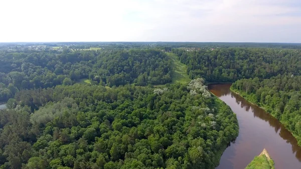 Vista aérea del hermoso bosque con río —  Fotos de Stock